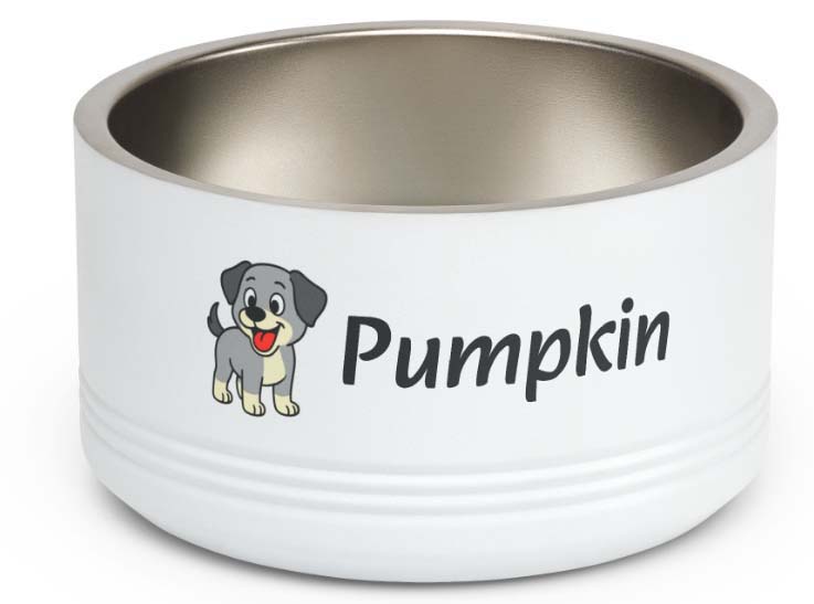 Pumpkin Pet Bowl